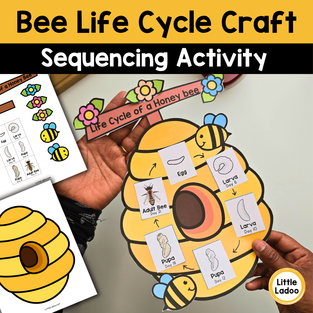 Bee Life Cycle Craft | Sequencing Cut and Paste Activity