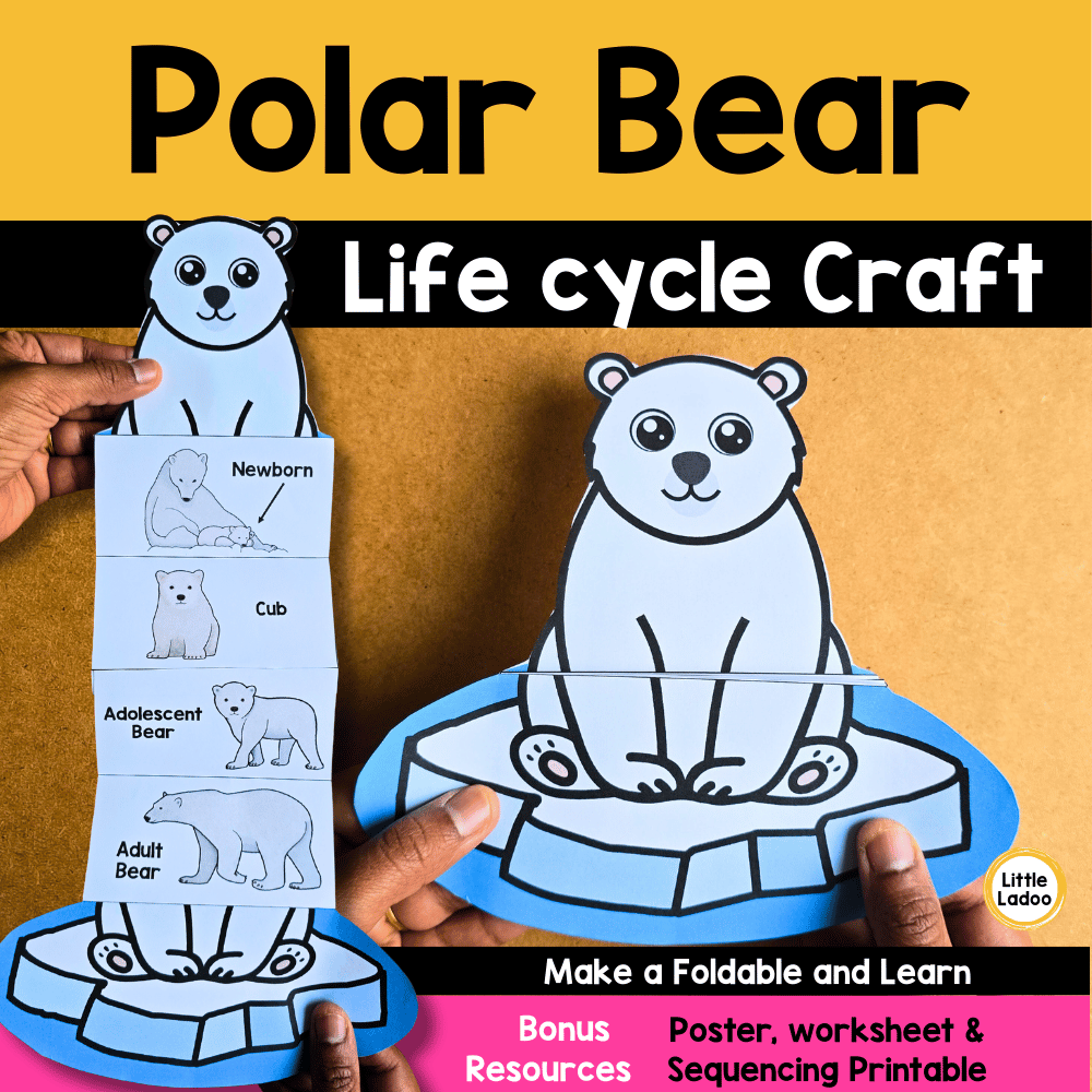 Polar Bear Life Cycle Craft Printable