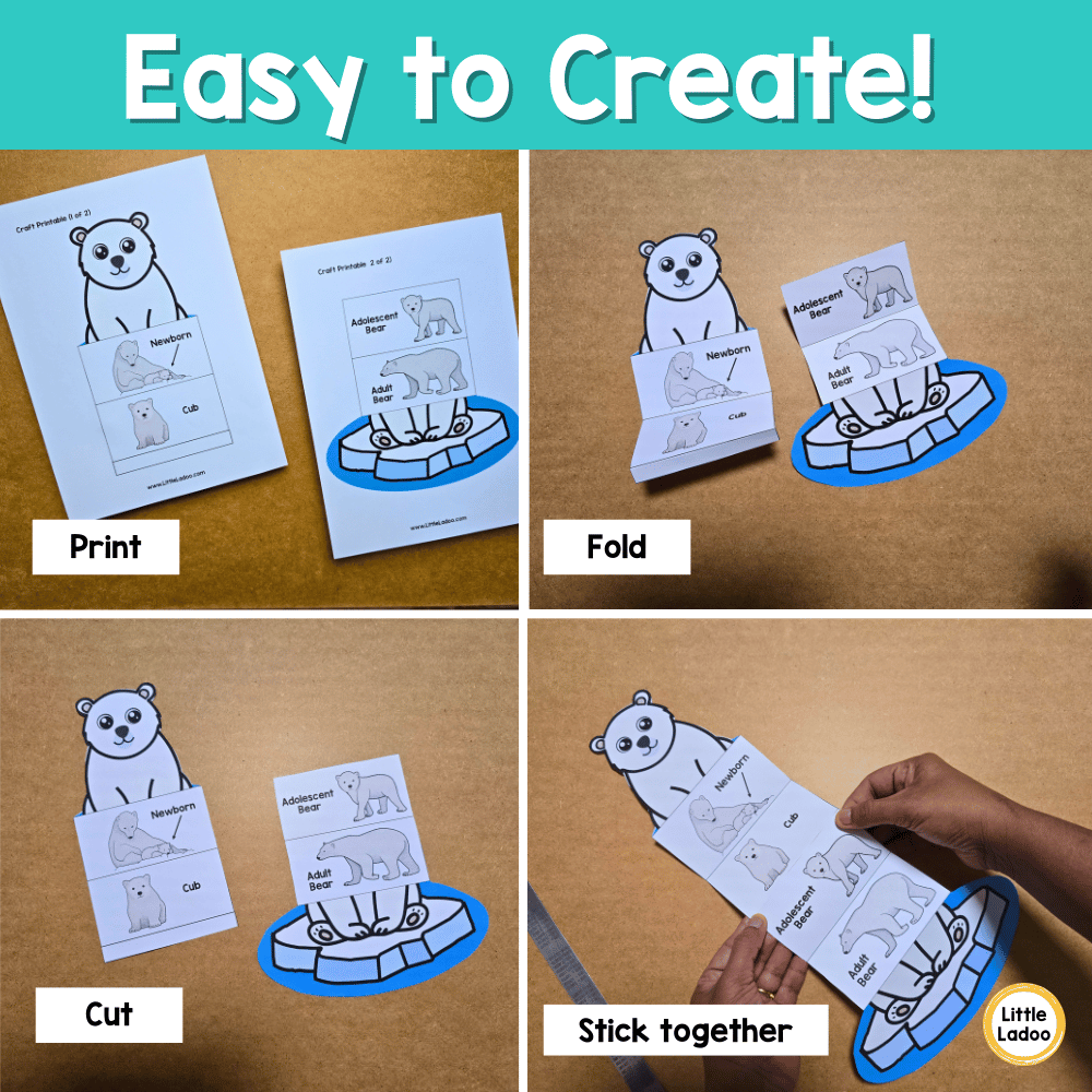 Polar Bear Life Cycle Craft Printable