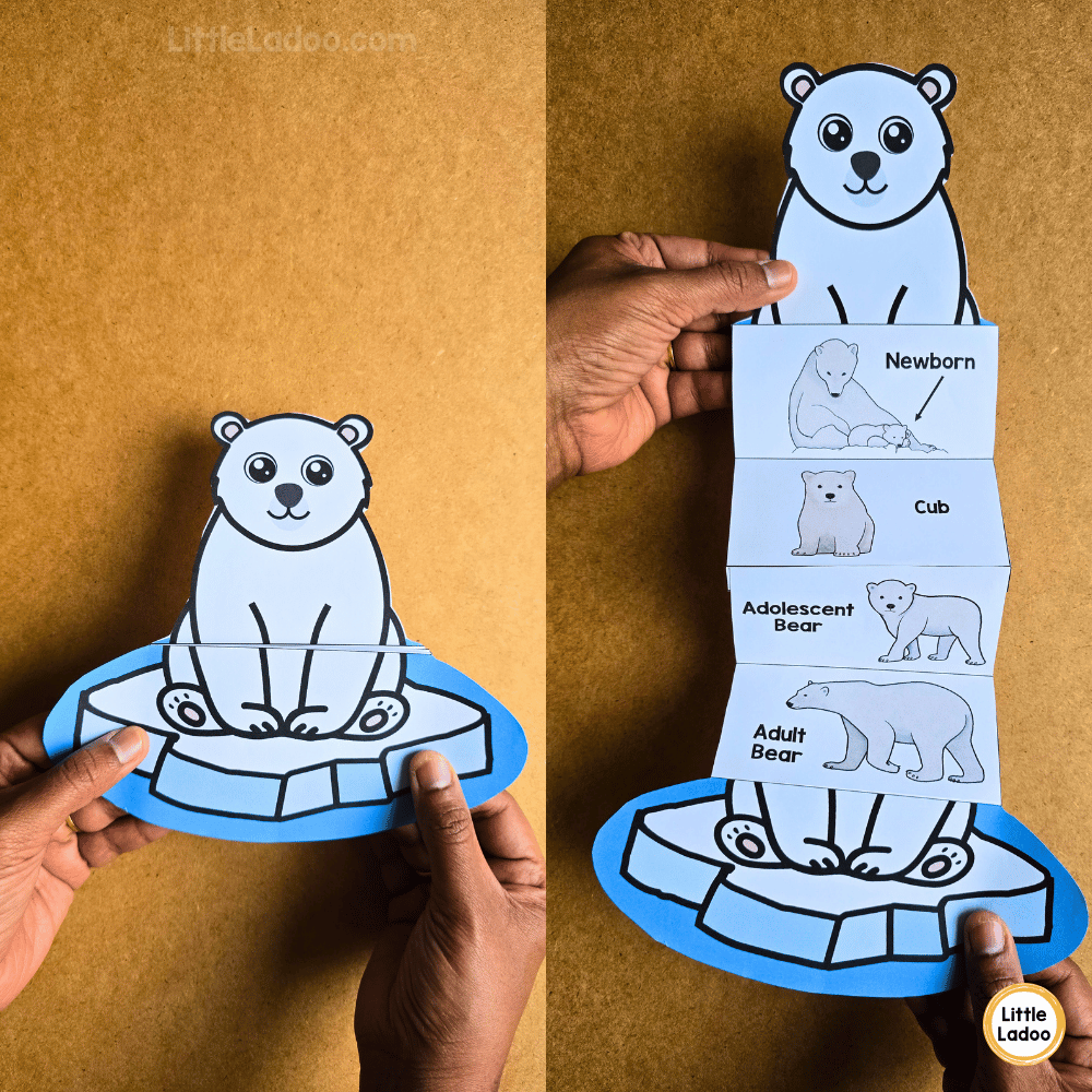 Polar Bear Life Cycle Craft Printable