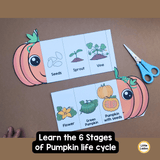 Pumpkin Life Cycle Craft Printable | Foldable Sequencing Activity
