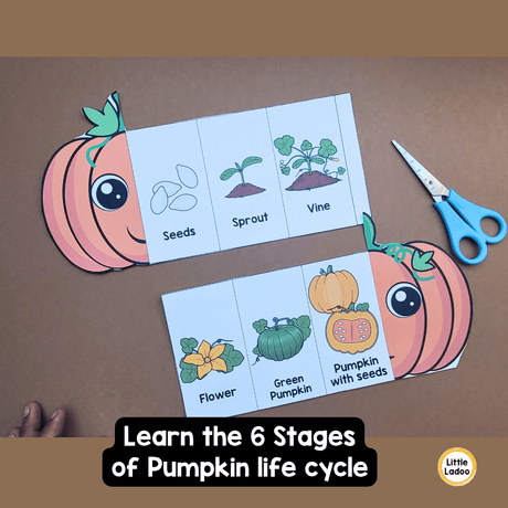 Pumpkin Life Cycle Craft Printable | Foldable Sequencing Activity