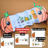 Pumpkin Life Cycle Craft Printable | Foldable Sequencing Activity