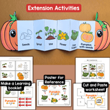 Pumpkin Life Cycle Craft Printable | Foldable Sequencing Activity