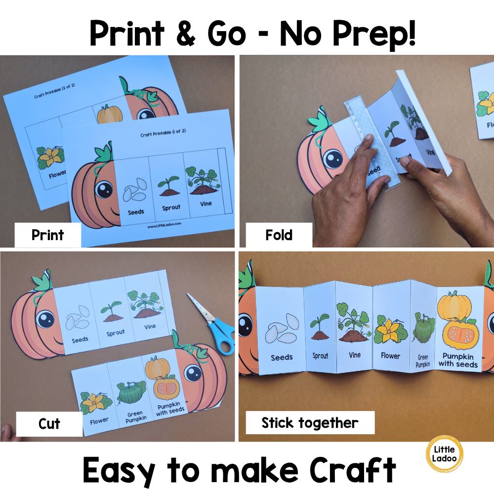 Pumpkin Life Cycle Craft Printable | Foldable Sequencing Activity