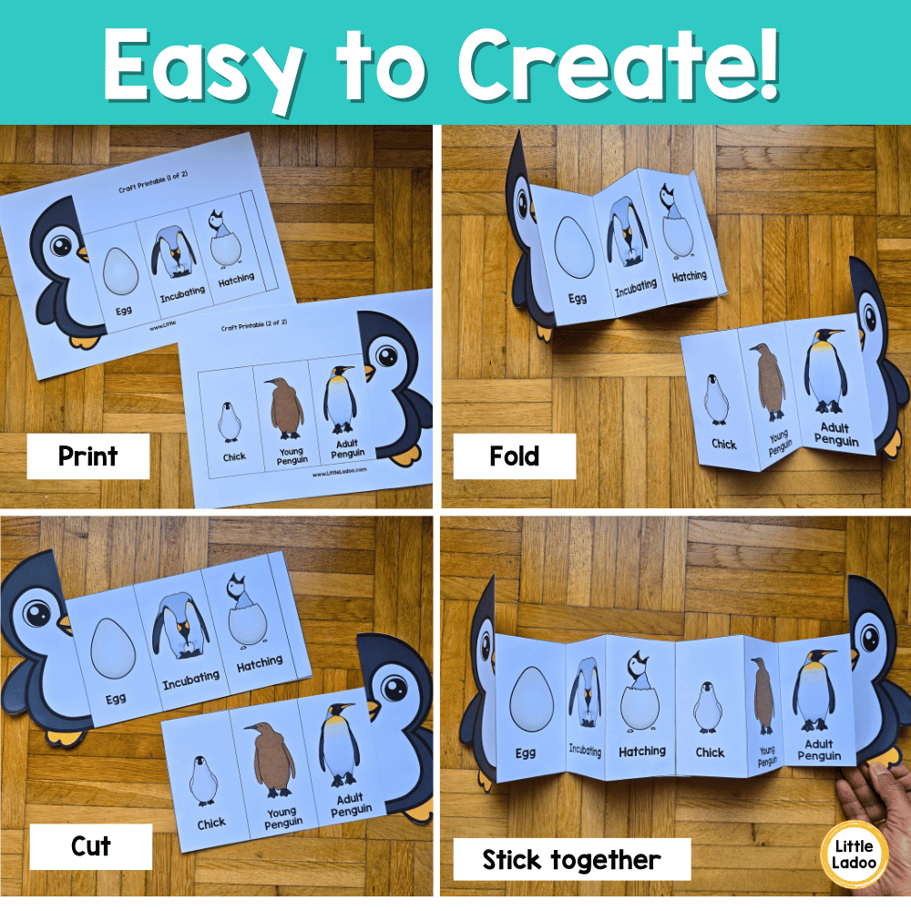 Penguin Life Cycle Craft Printable