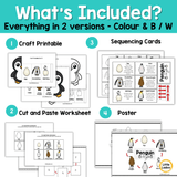 Penguin Life Cycle Craft Printable