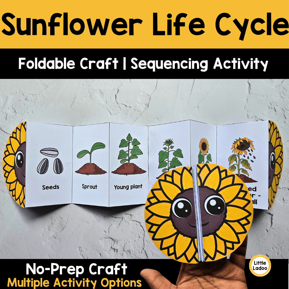 Sunflower Life Cycle Craft Printable | Foldable Sequencing Activity
