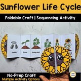 Sunflower Life Cycle Craft Printable | Foldable Sequencing Activity