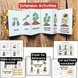 Sunflower Life Cycle Craft Printable | Foldable Sequencing Activity