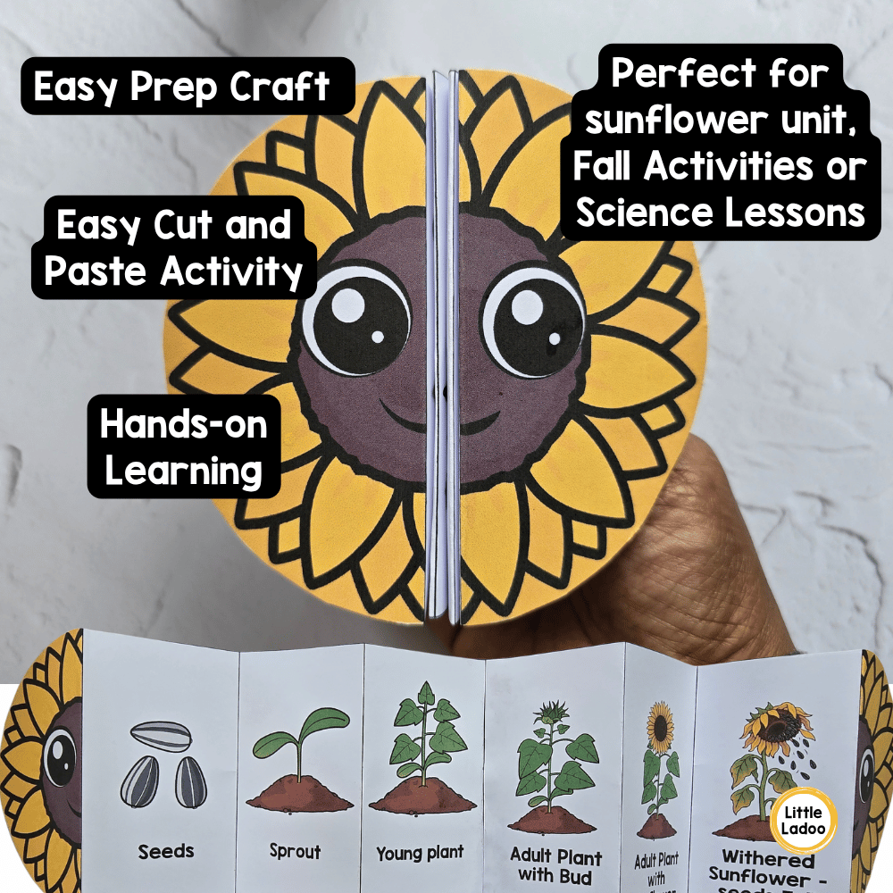 Sunflower Life Cycle Craft Printable | Foldable Sequencing Activity