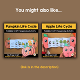 Sunflower Life Cycle Craft Printable | Foldable Sequencing Activity
