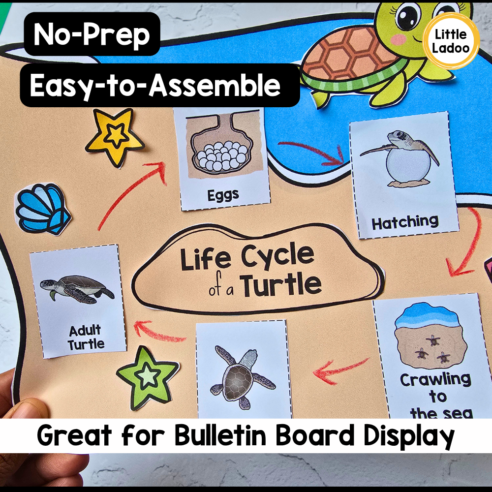 Turtle Life Cycle Craft | Sequencing Cut and Paste Activity