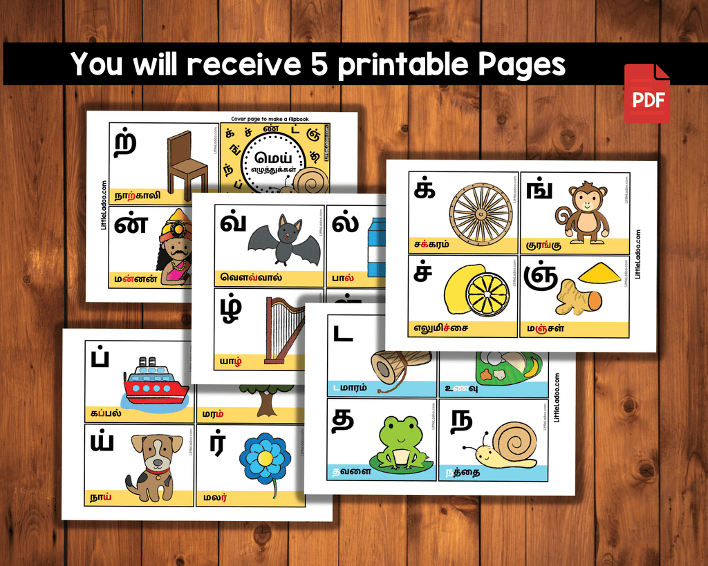Tamil Consonants Flashcards LittleLadoo