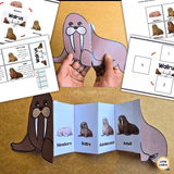 Walrus Life Cycle Craft Printable