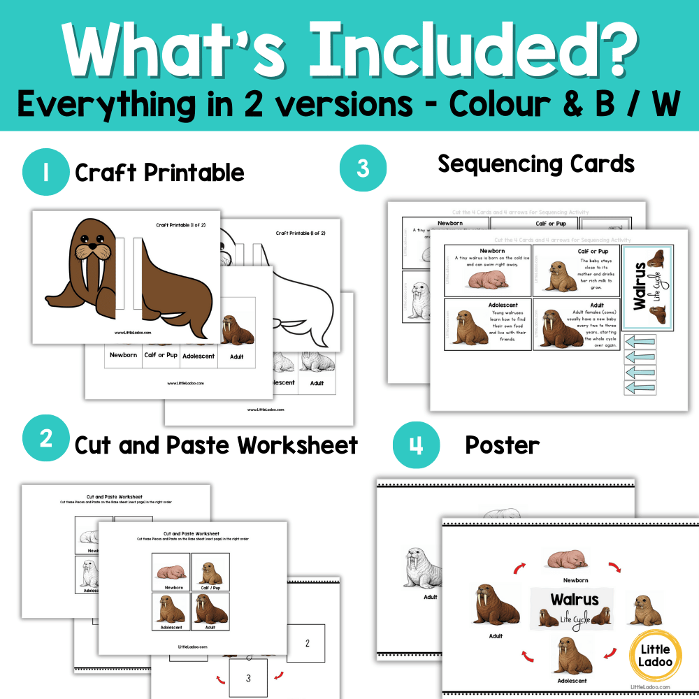 Walrus Life Cycle Craft Printable