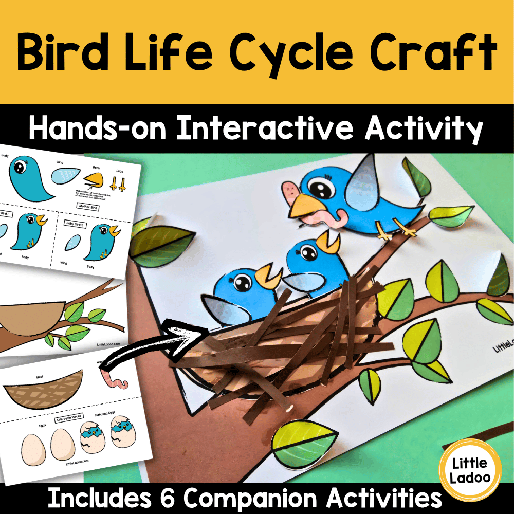 Spring Bird Nest Craft – Life Cycle of a Bird Activity