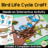 Spring Bird Nest Craft – Life Cycle of a Bird Activity