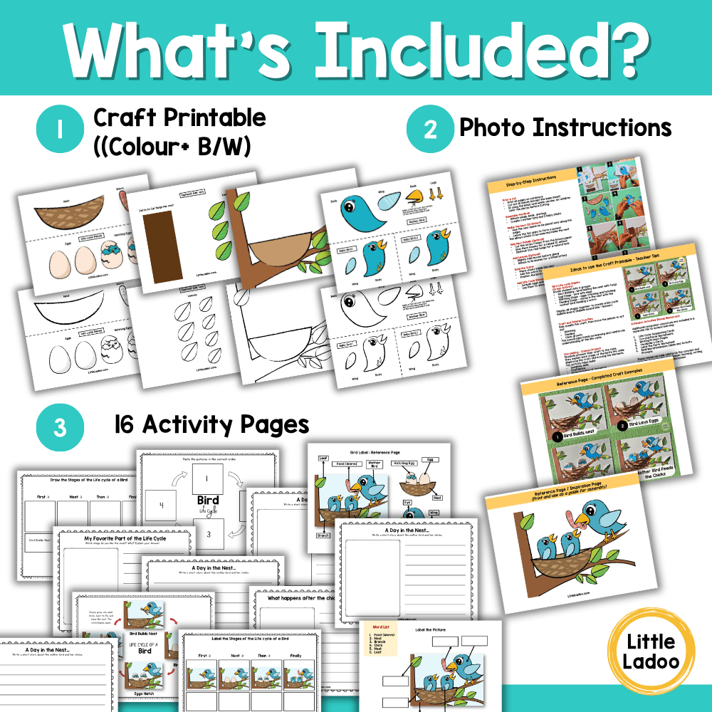 Spring Bird Nest Craft – Life Cycle of a Bird Activity
