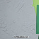 Turtle Life Cycle Craft | Sequencing Cut and Paste Activity