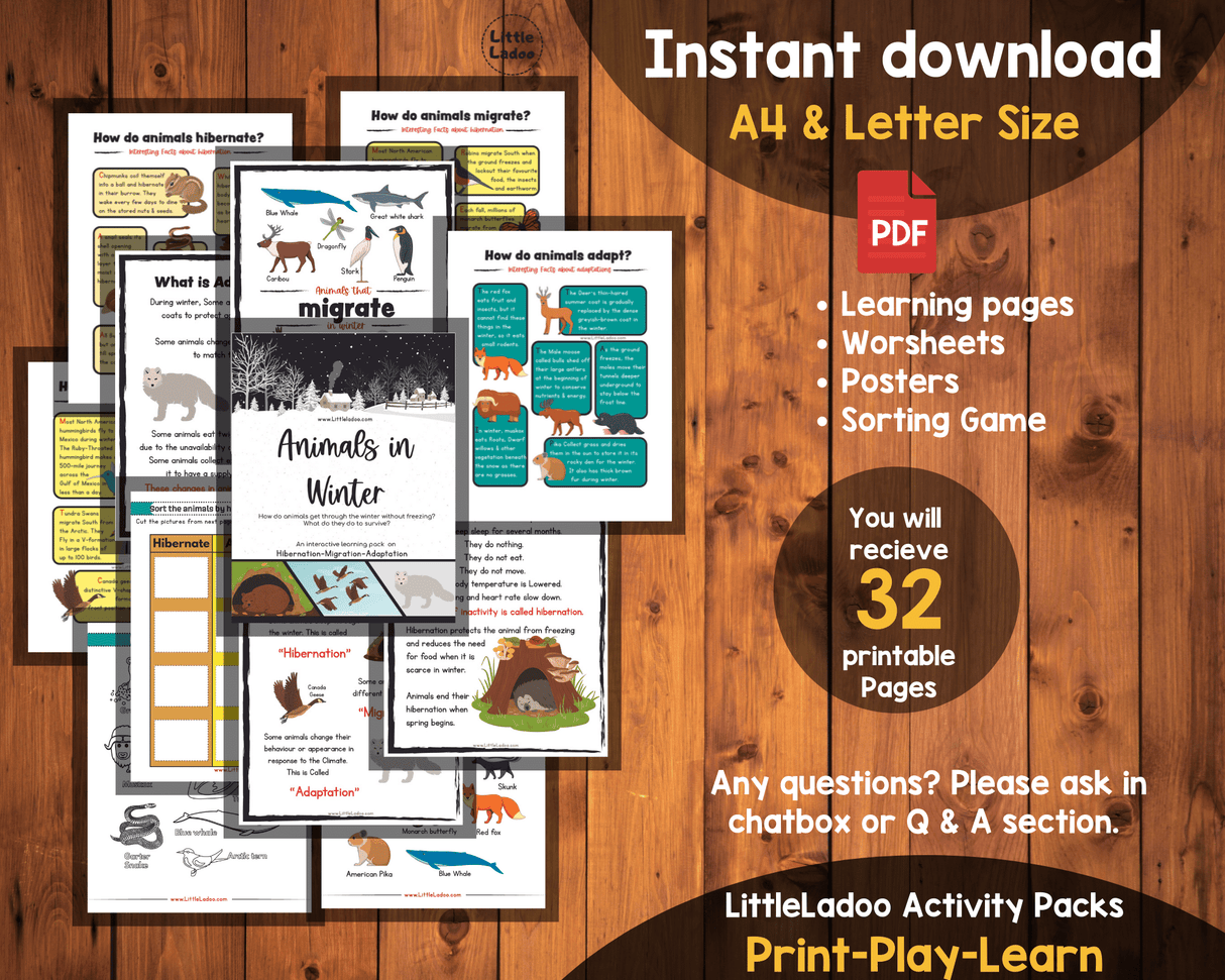 Animals in Winter - Interactive Learning Pack