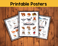 Animals in Winter - Interactive Learning Pack