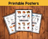 Animals in Winter - Interactive Learning Pack