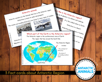 Antarctic animals fact cards Which part of earth is the antarctic region, What is Antarctica like and Antarctic animals