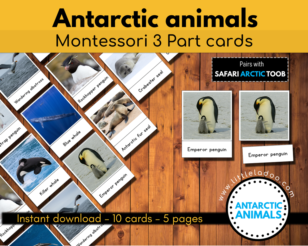 Arctic Animals - Free Printable - Montessori Nature