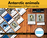 Antarctic animals 3 part cards-safari toob matching cards