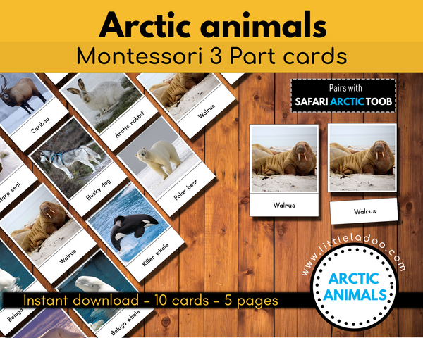 Arctic Animals Montessori 3 Part cards 