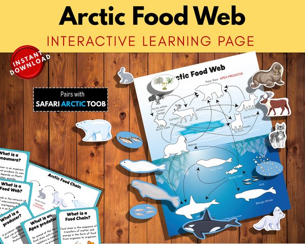 Arctic Food Web - Interactive Learning Page