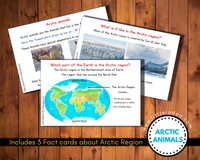 Fact cards Arctic region