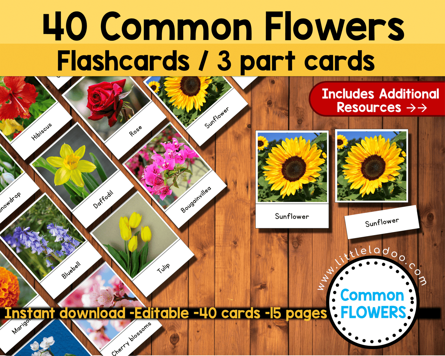 Lilac Flash Card.pdf Flower Flashcard Printable – LittleLadoo