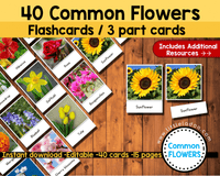 Flowers Flashcards, 3 part cards, flowers photo with name, flowers real pictures, Flowers PDF