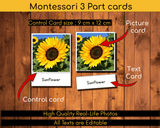 Flowers Montessori 3 part cards, nomenclature cards