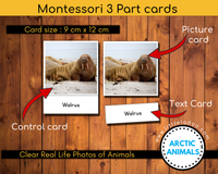 What is a Montessori 3 part card? Control card, Picture card and Text card