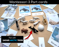 Safari Arctic toob cards object to picture matching