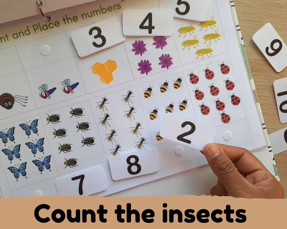 Insect Busy Book {10 activities}
