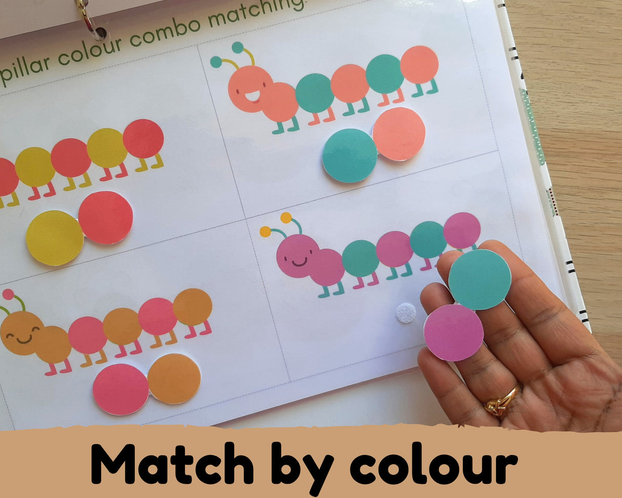 Insect Busy Book {10 activities}