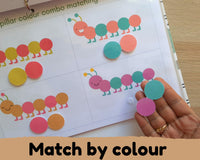 Insect Busy Book {10 activities}