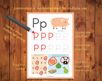 Alphabet Worksheets {26 + 7 Pages}