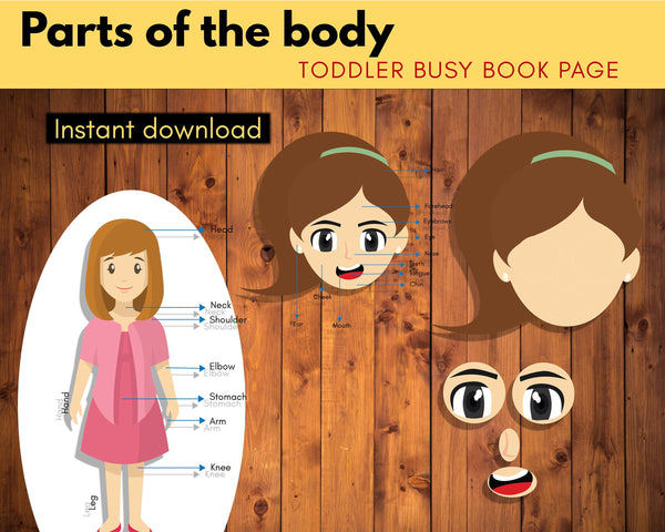 Body Parts Printable {3 Pages }