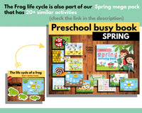 Life cycle of a frog Printable