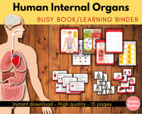 Anatomy Busy Book Printable {7 Activities}