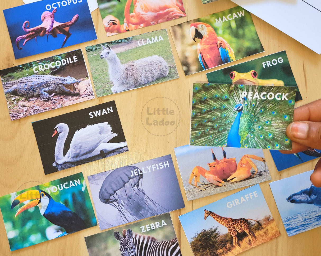 Animals Matching Game Printable