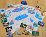Animals Matching Game Printable