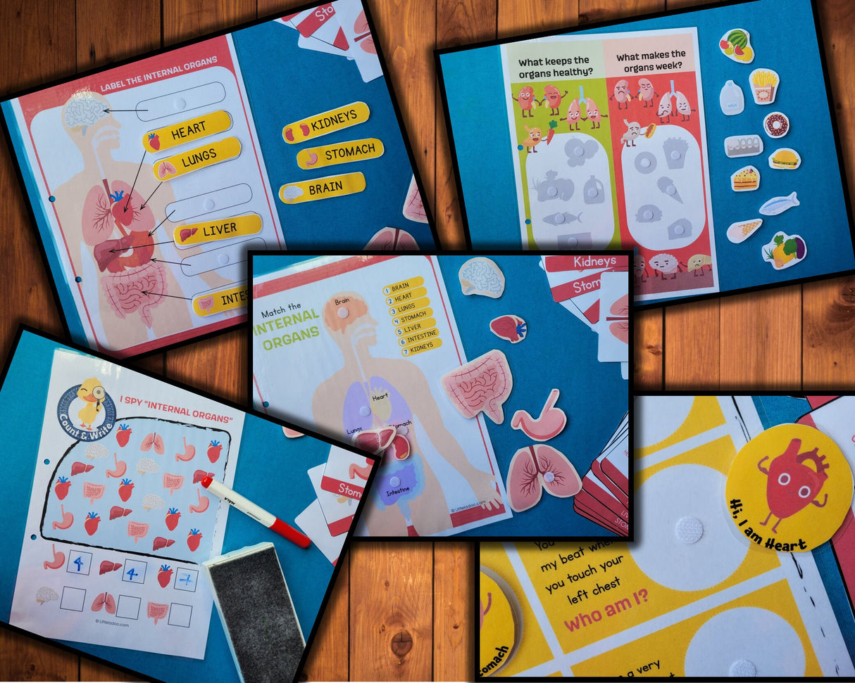 Anatomy Busy Book Printable {7 Activities}