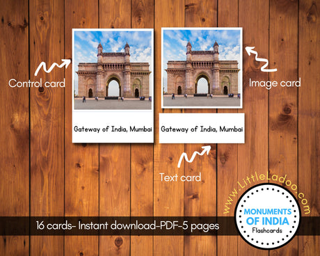 Monuments of India 3 Part Cards + Activities